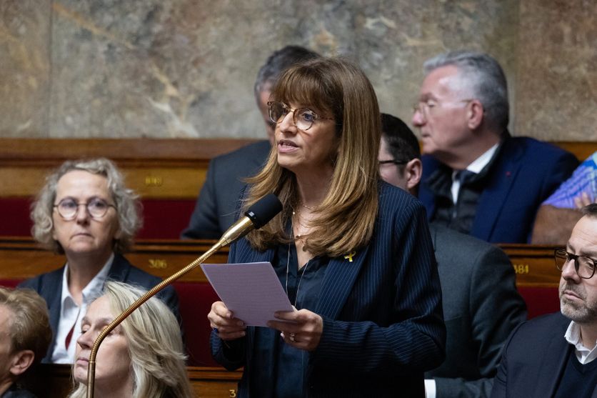 Plus de 500 000 signataires dénoncent la proposition législative de Caroline Yadan